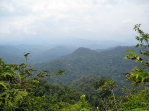 Borneo of Penan tribe (Malaysia) - The Golden Scope