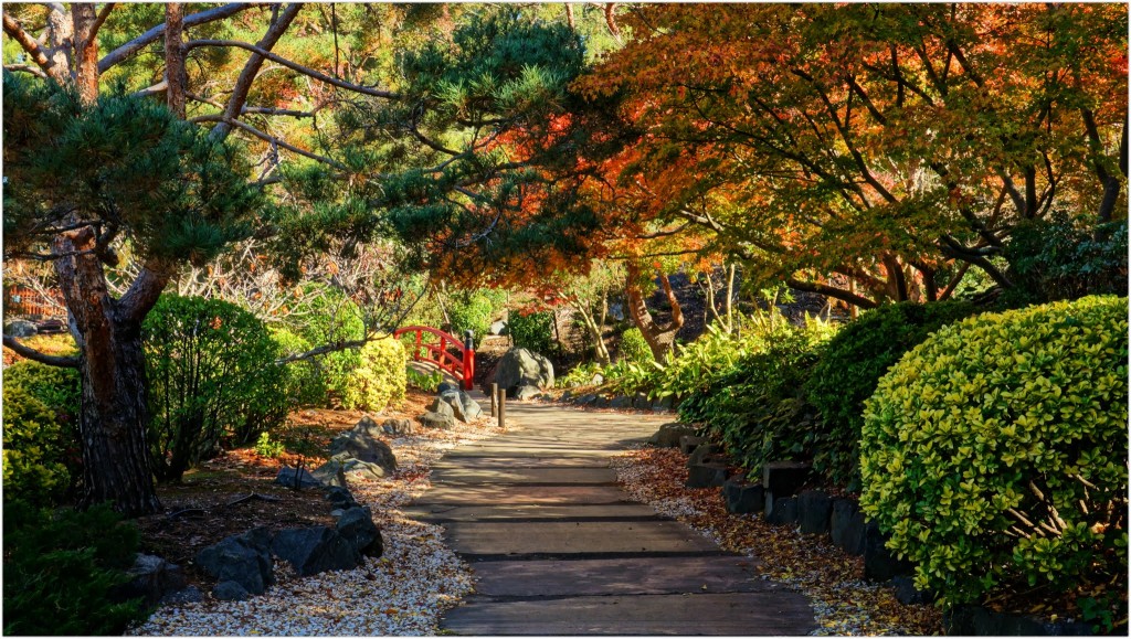 Auburn Botanical Gardens (Australia) The Golden Scope