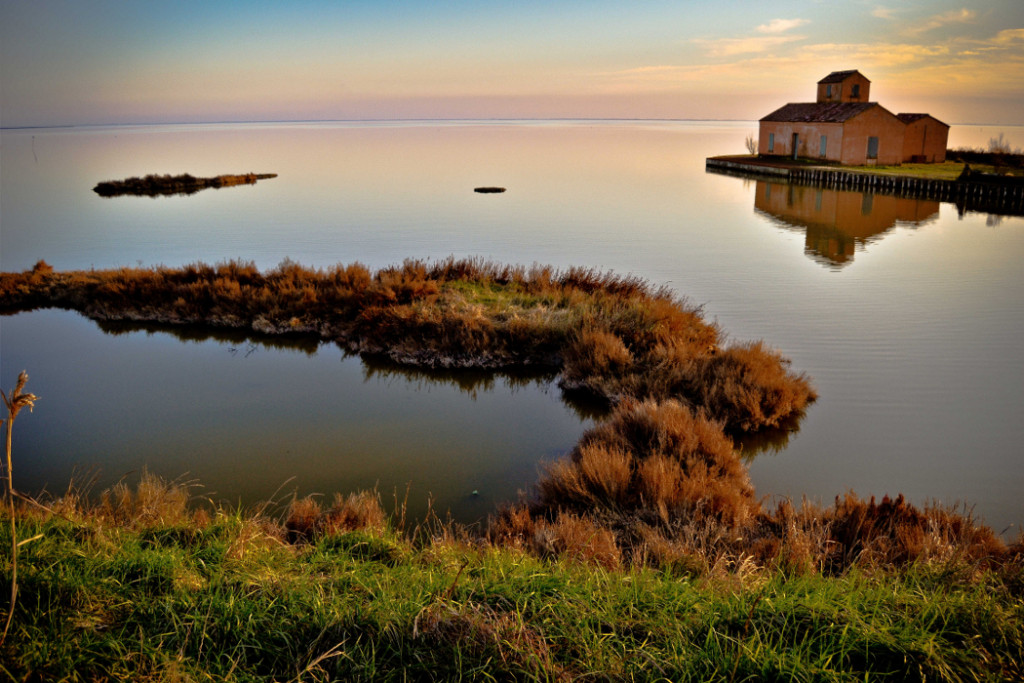 Cervia's Salina Nature Reserve Italy - The Golden Scope