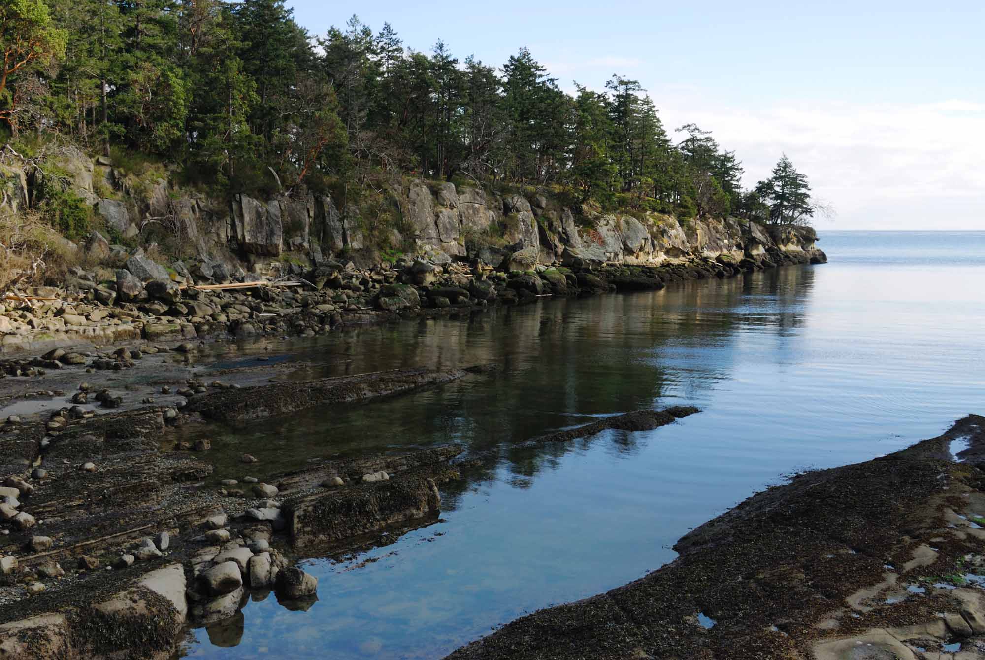 Lasqueti Island Gulf Islands Canada The Golden Scope