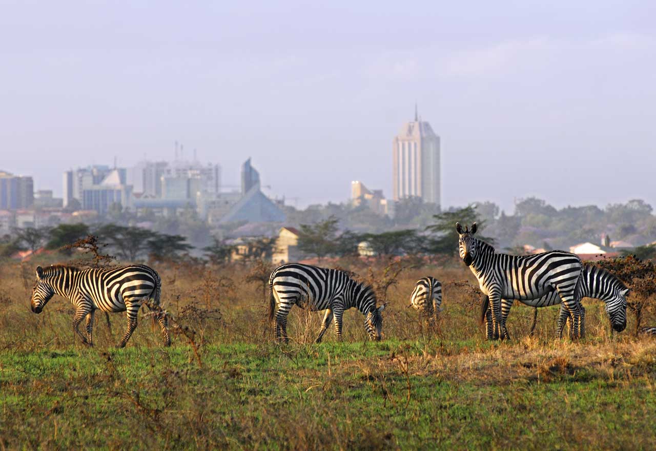 Kenya Athi Atlanta